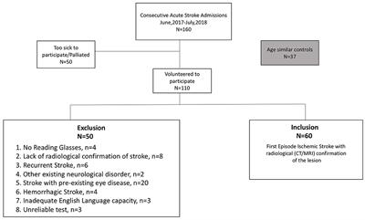 Acquired Visual Deficits Independent of Lesion Site in Acute Stroke